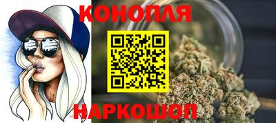 Альфа ПВП Будённовск