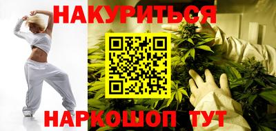Альфа ПВП Будённовск
