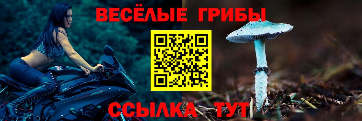 Галлюциногенные грибы Psilocybine cubensis  Вход с VPN  Лобня  Псилоцибиновые грибы Magic Shrooms 